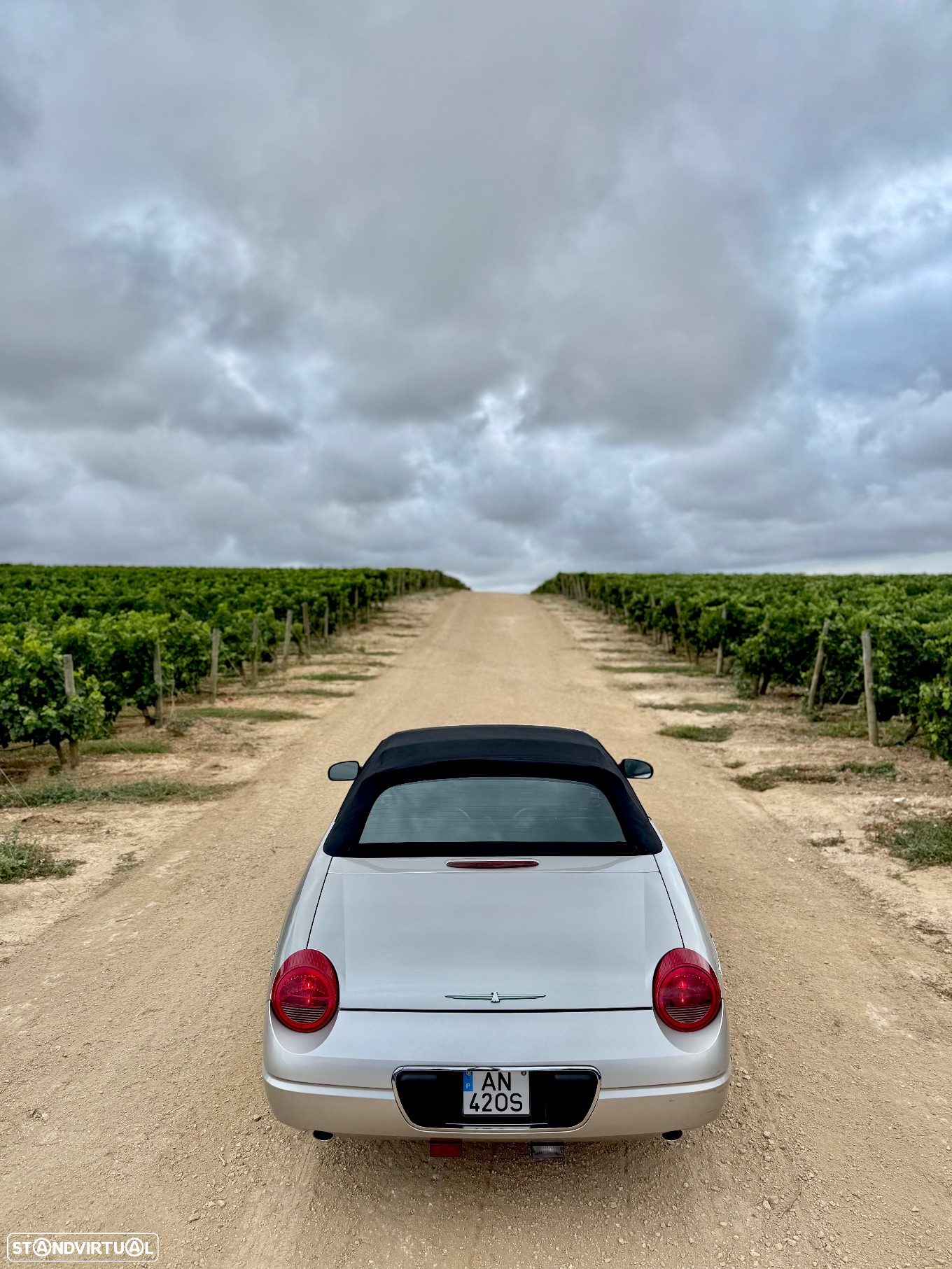 Ford Thunderbird - 28