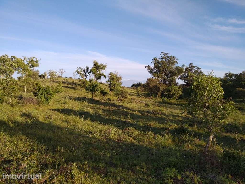 Terreno rural com projeto aprovado em Santiago do Cacém - Grande imagem: 4/5