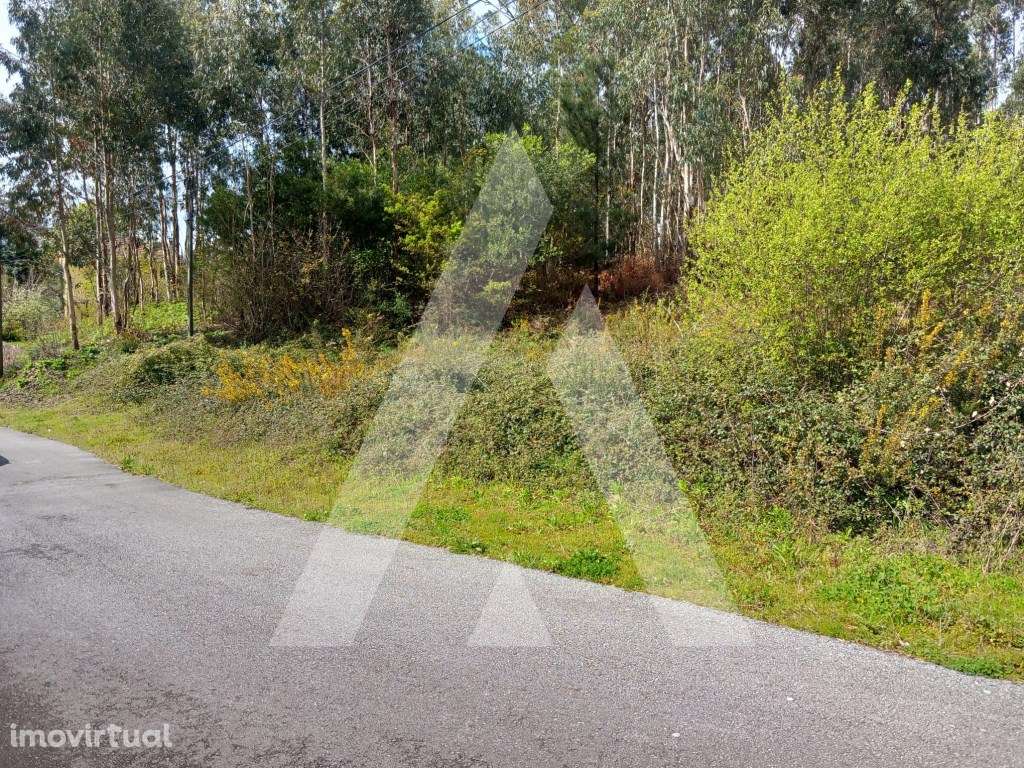 Terreno para construção em Cesar, Oliveira de Azemeis - Grande imagem: 4/13