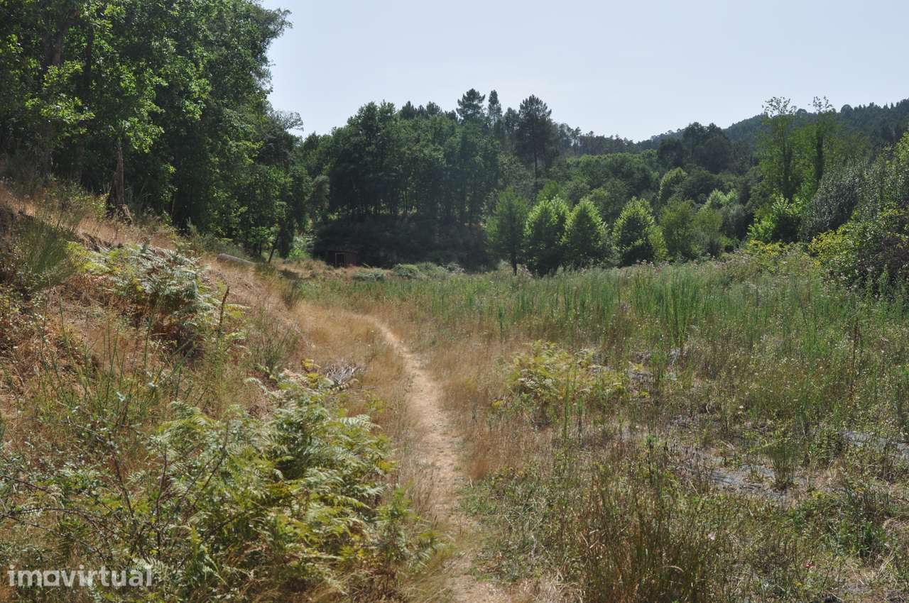 Excelente quinta com 6,1 Hectares — Celorico de Basto - Grande imagem: 4/22