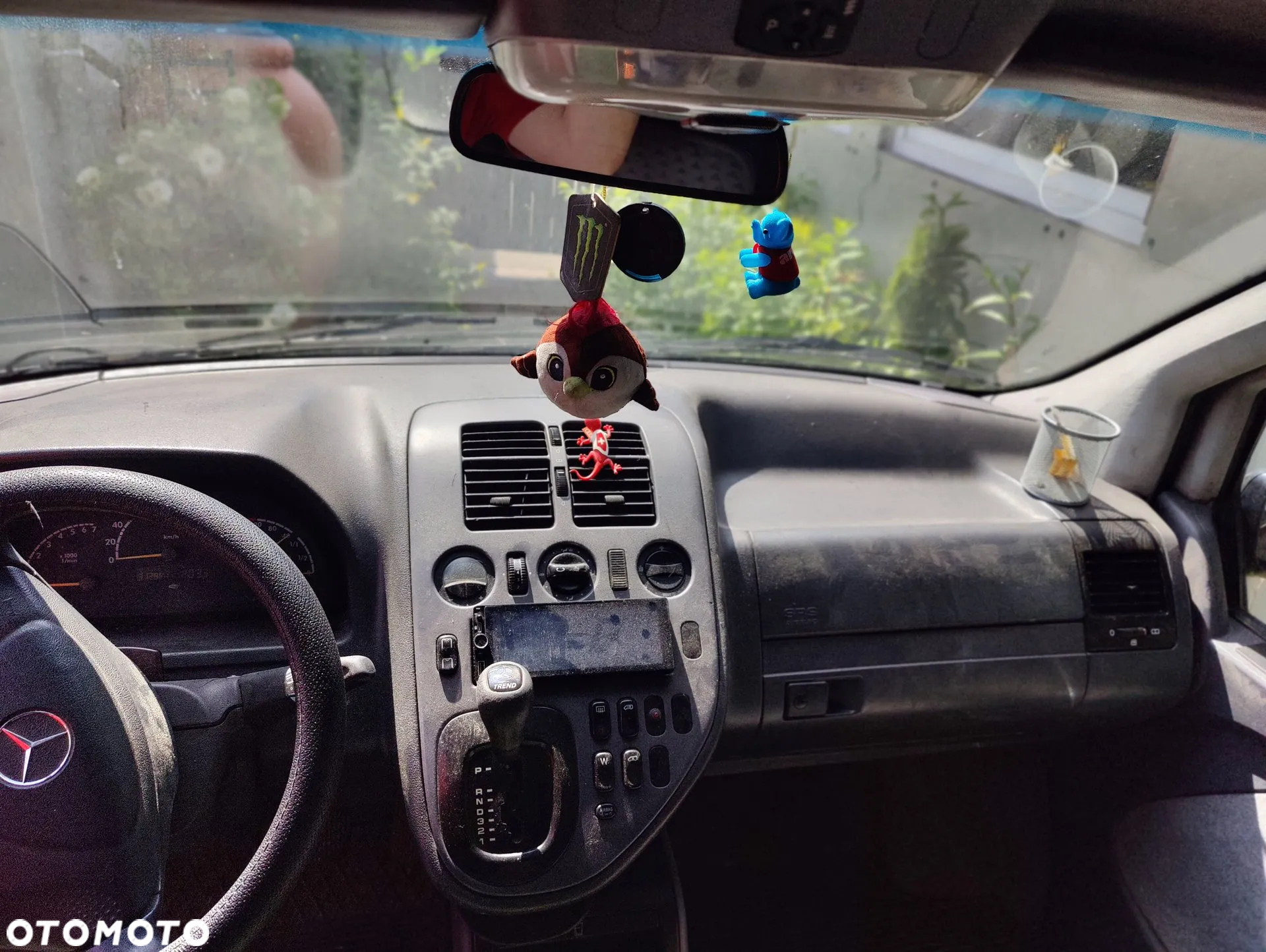 Ford Focus - 6
