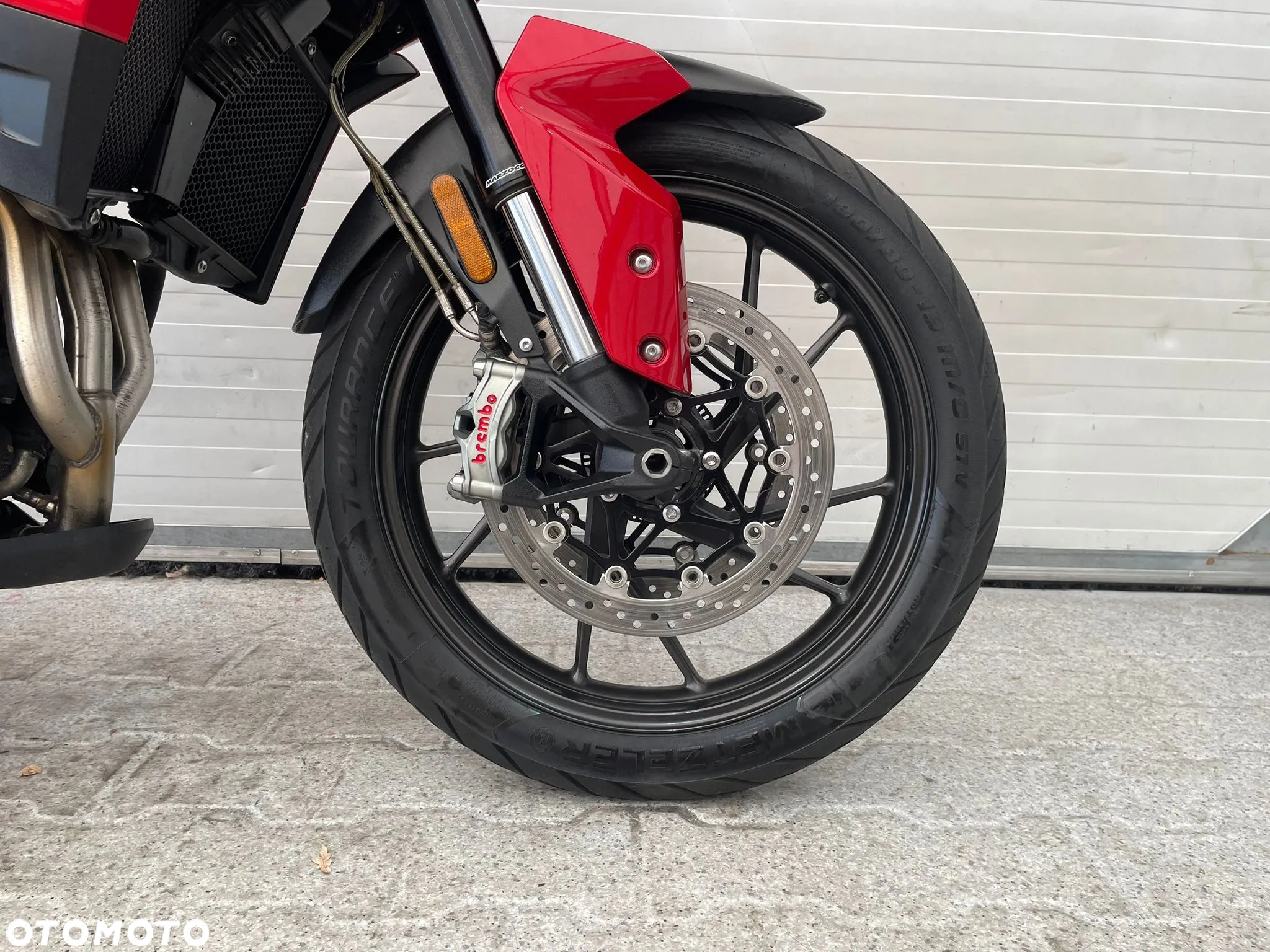 Triumph Tiger - 23