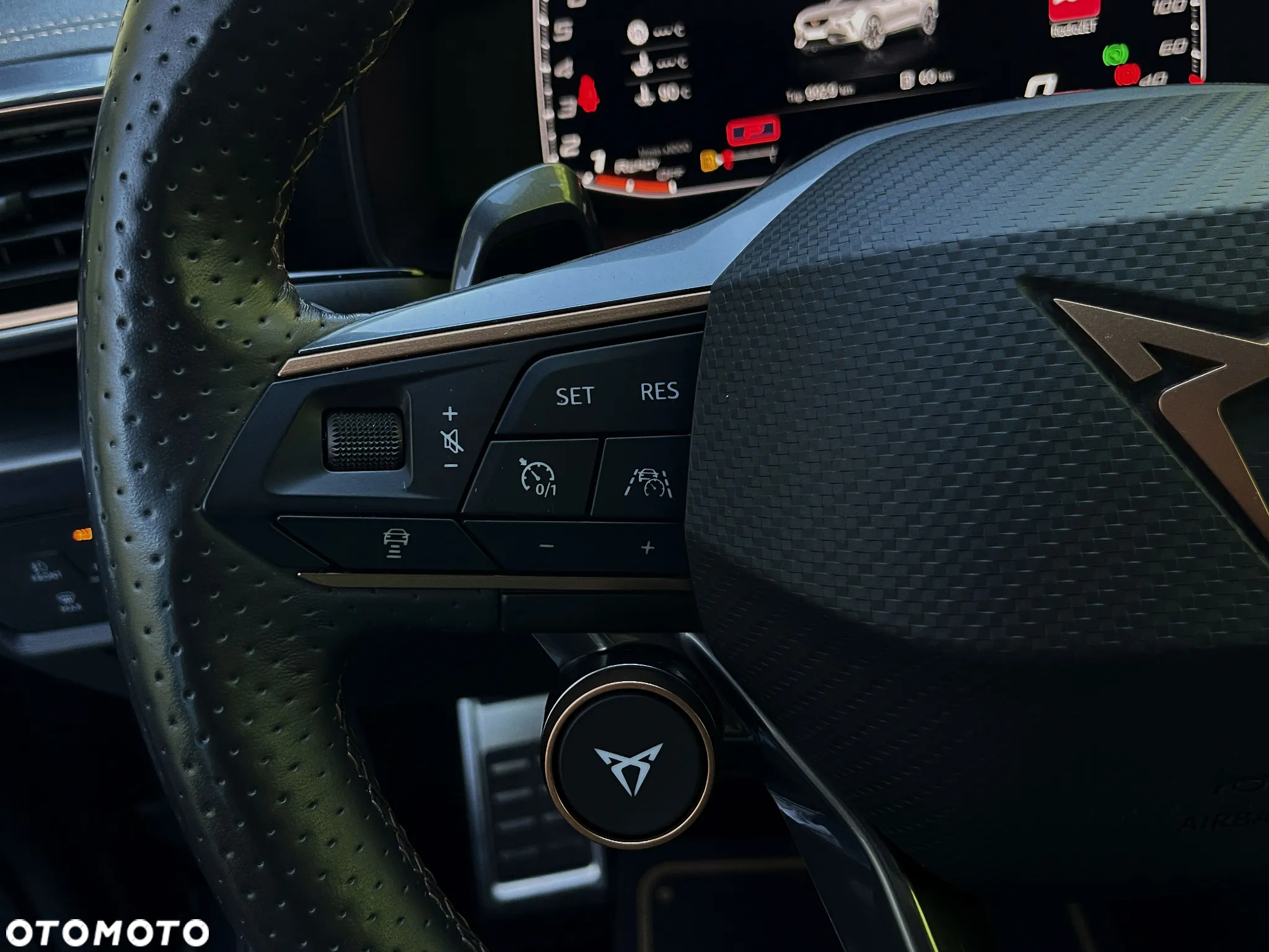 Cupra Formentor 2.0 TSI 4Drive VZ DSG - 23