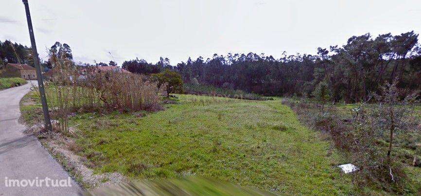 Terreno para semeadura - 27 metros de frente - Grande imagem: 3/4