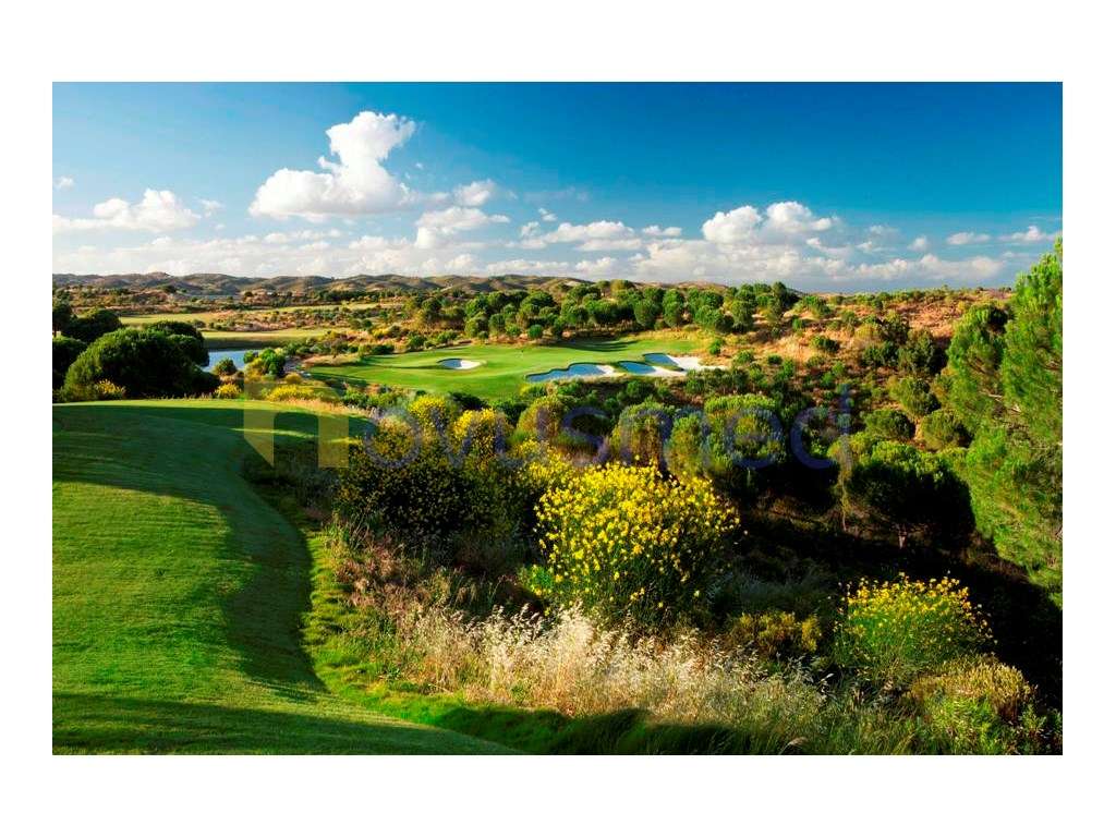 Lote de terreno para construção, Monte Rey Golfe e Country Club, Ta... - Grande imagem: 3/13