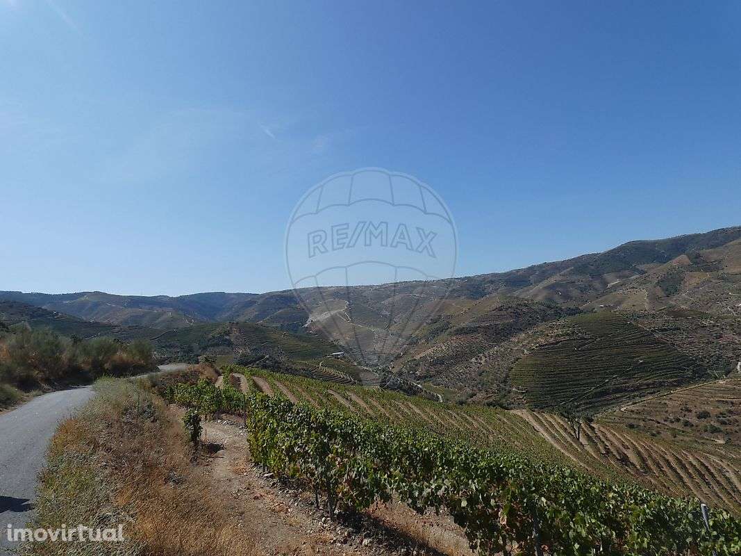 Terreno  para venda - Grande imagem: 3/3