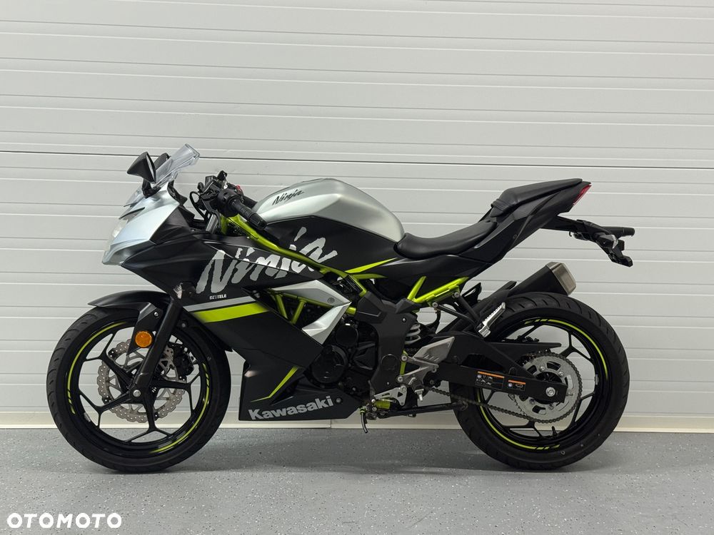 Kawasaki Ninja - 15