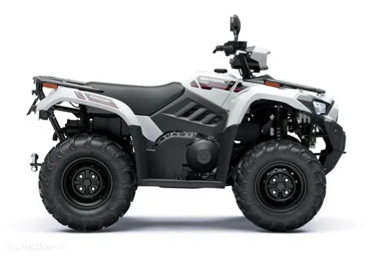 Kawasaki Brute Force - 6