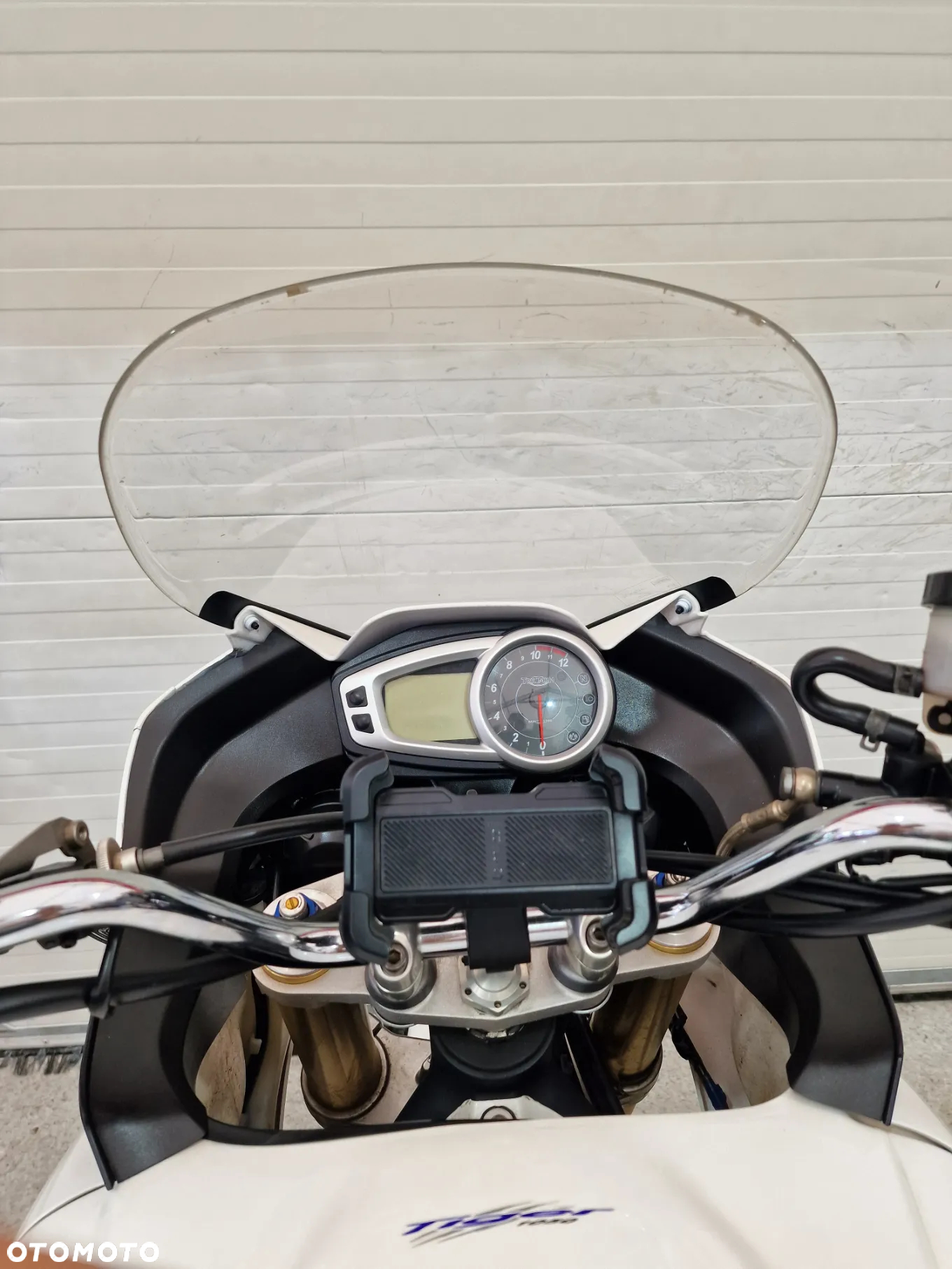 Triumph Tiger - 29