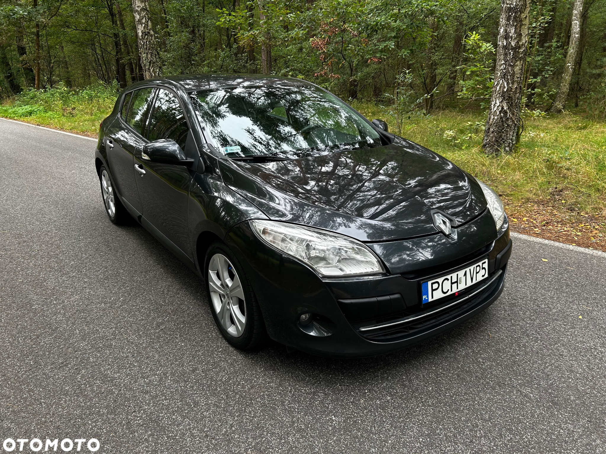 Renault Megane - 6