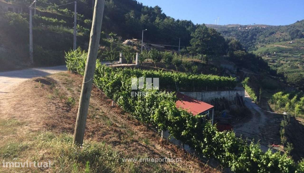 Venda Terreno, Santa Marinha do Zêzere, Baião - Grande imagem: 3/22