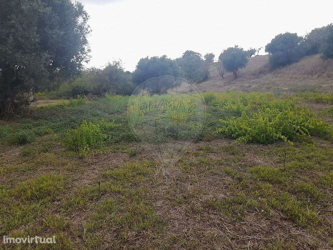 Terreno  para venda - Grande imagem: 5/23