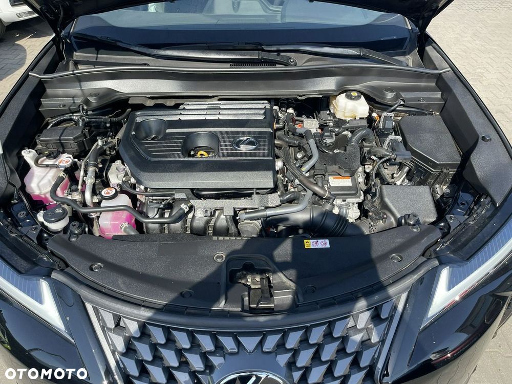 Lexus UX 300h Elegance - 15
