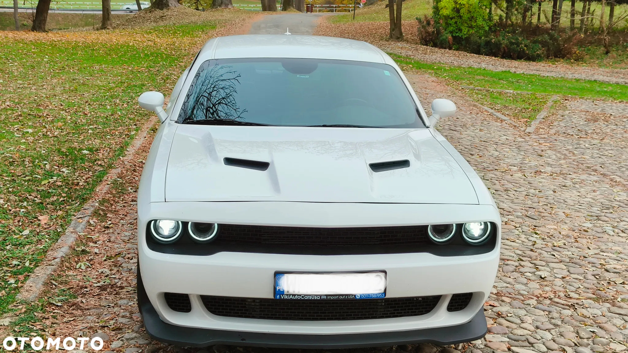 Dodge Challenger Automatik R/T Plus Scat Pack - 6