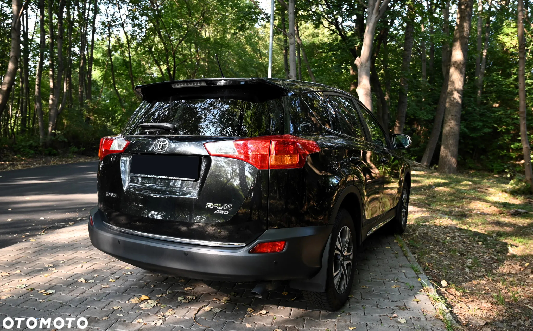 Toyota RAV4 - 17