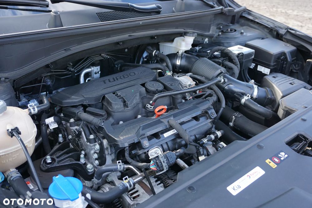 Kia Sportage - 3