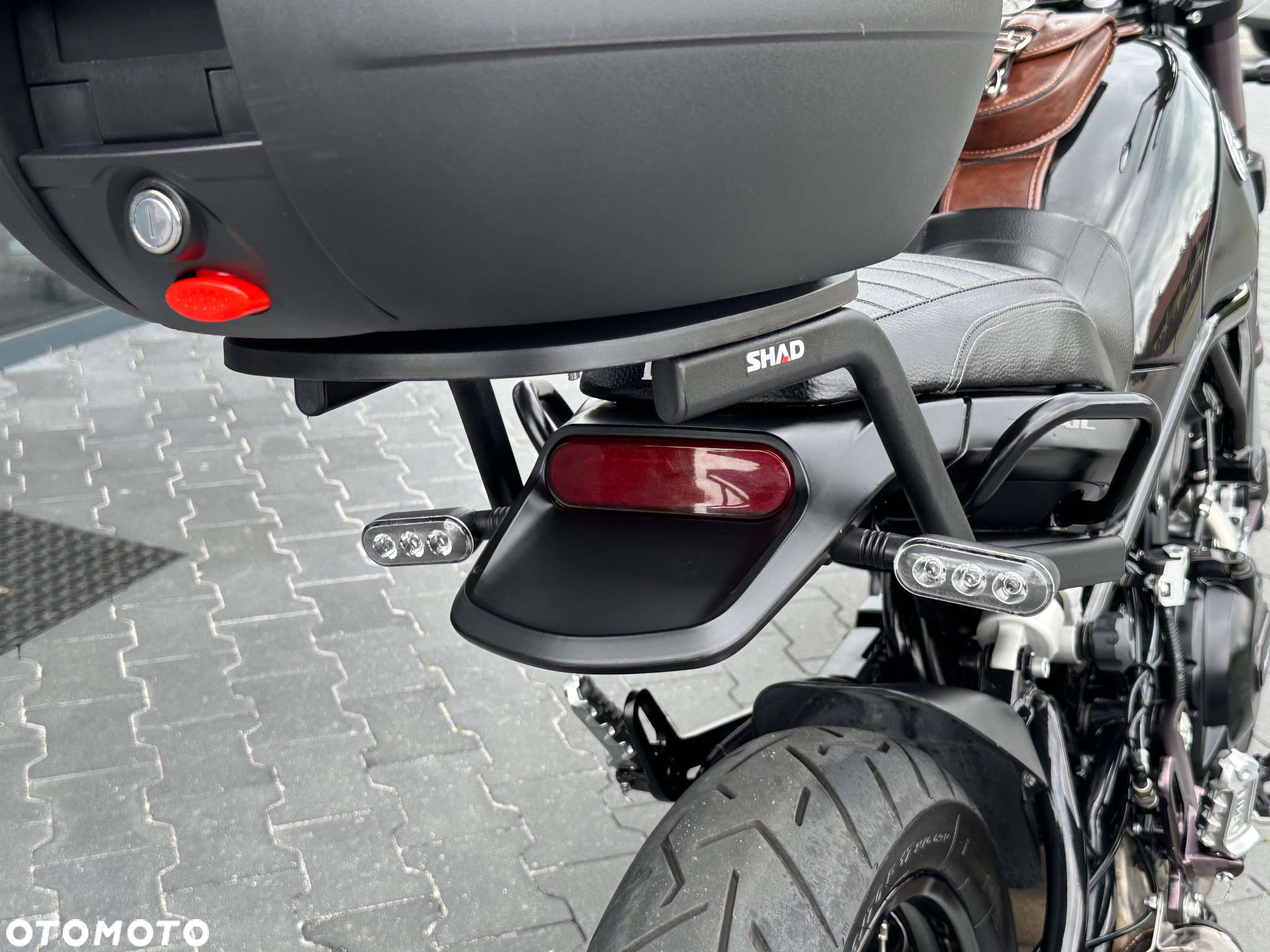 Benelli Leoncino Trail - 9