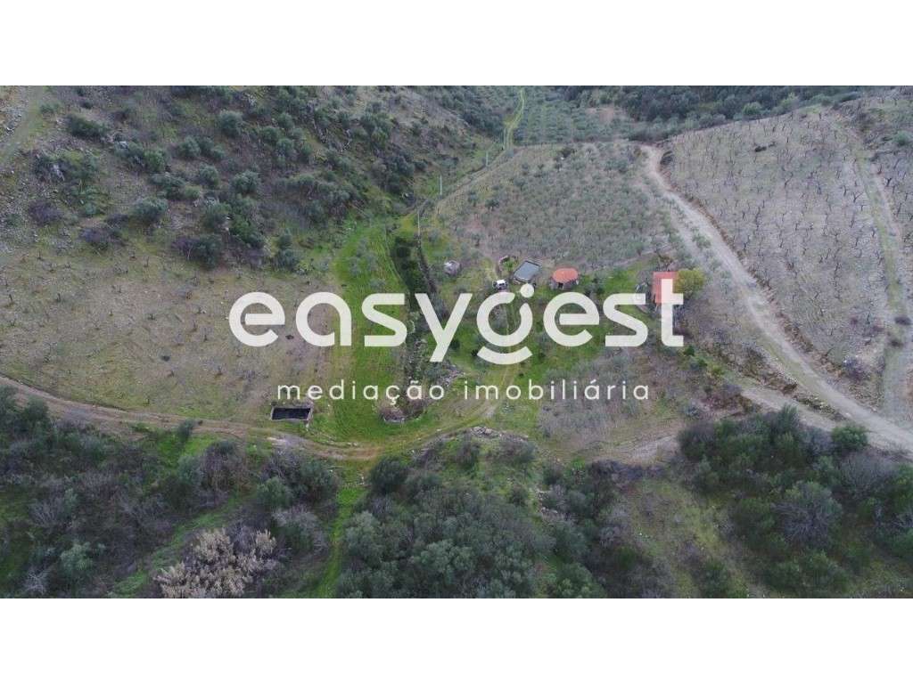 Terreno Agrícola no Alto Douro - Grande imagem: 3/26