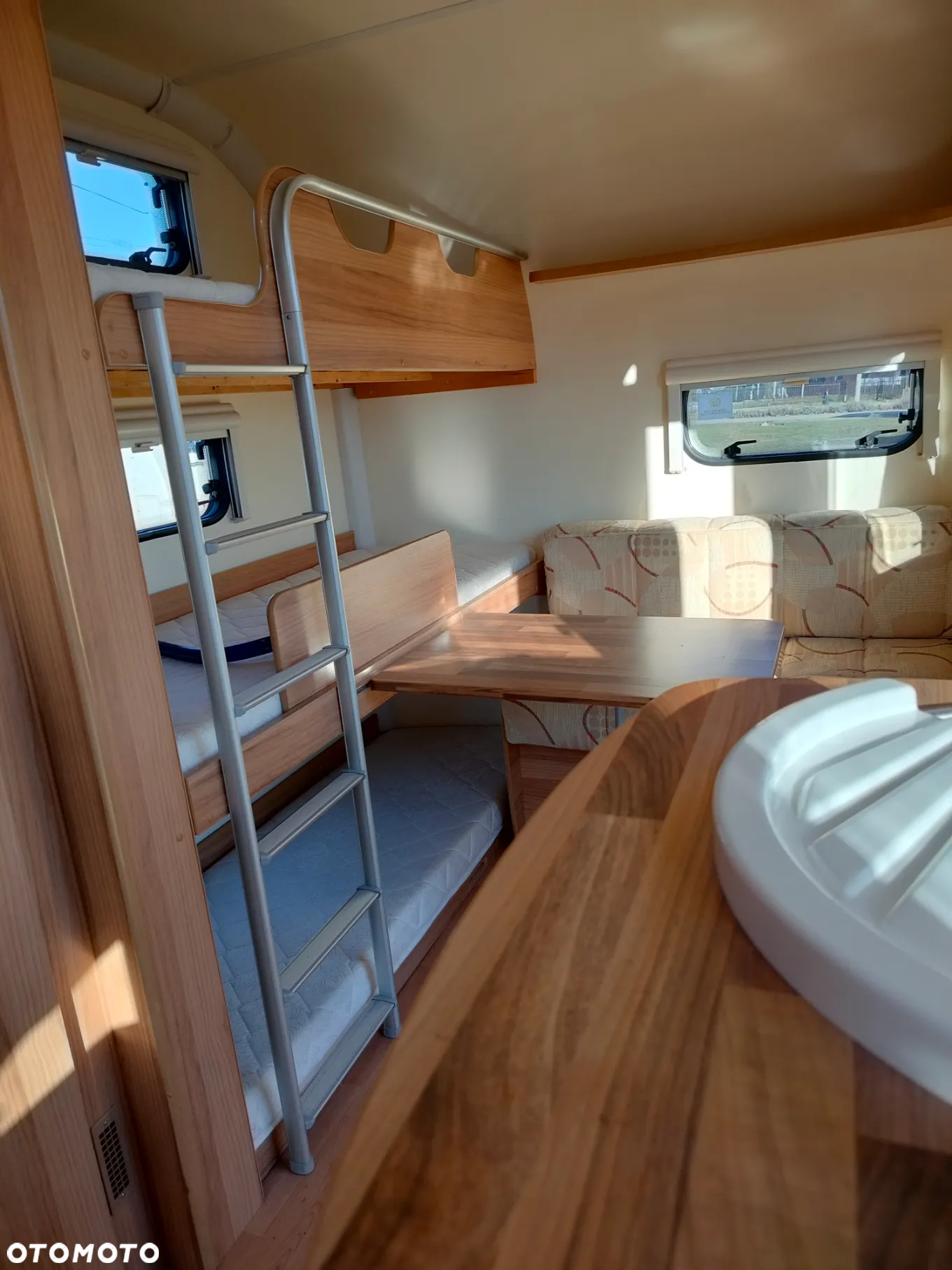 Bailey Orion - 26