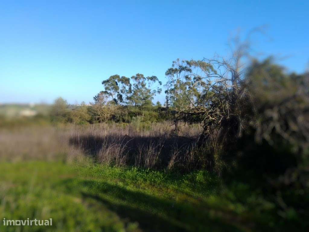 Terreno rustico com cerca de 50.000 m2 em Santarém - Grande imagem: 4/10