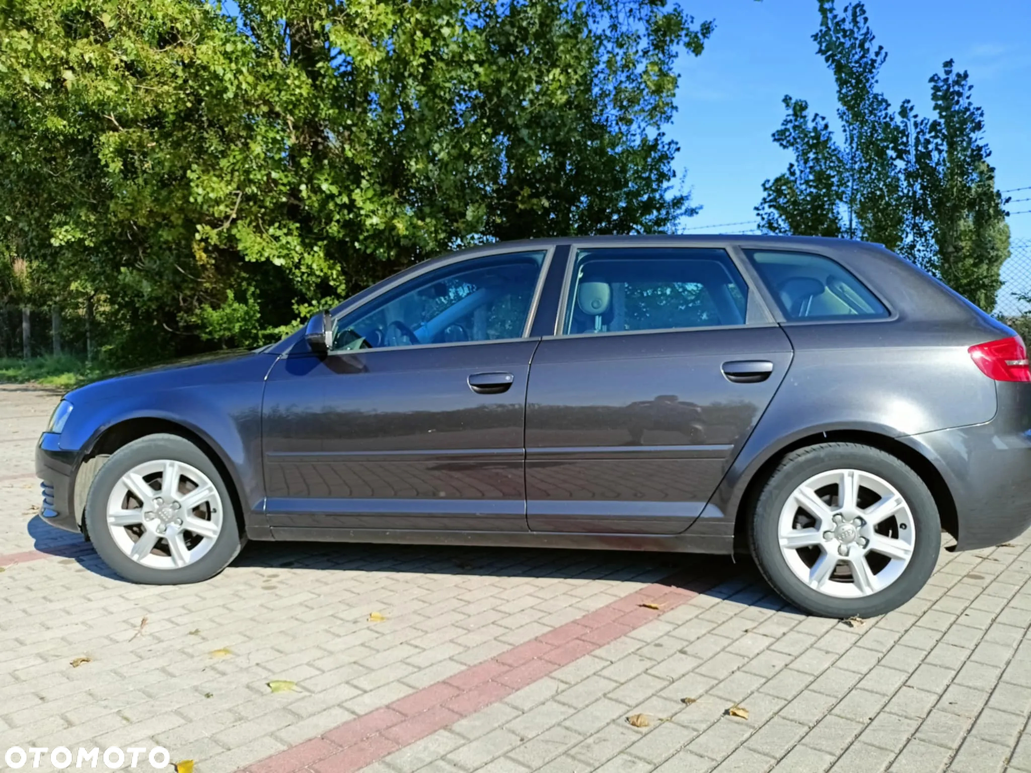 Audi A3 1.9 TDI Ambition - 5