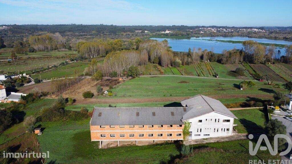 Prédio em Fermentelos de 2821,00 m2 - Grande imagem: 4/30