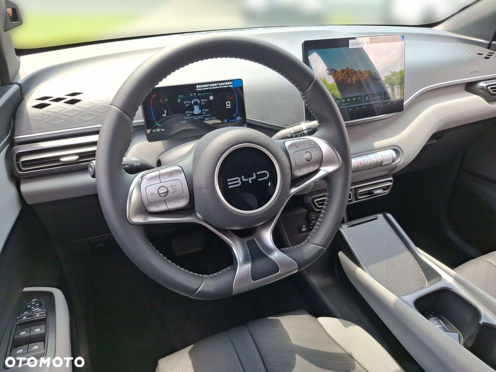 BYD Dolphin Surf - 10