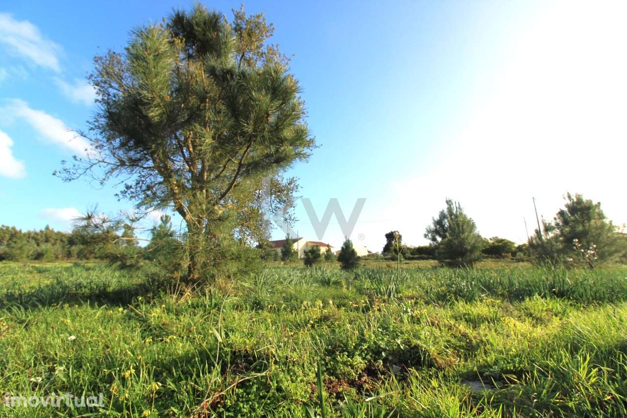 Terreno com 6250m2 no Sobreiro de Mafra - Grande imagem: 2/27