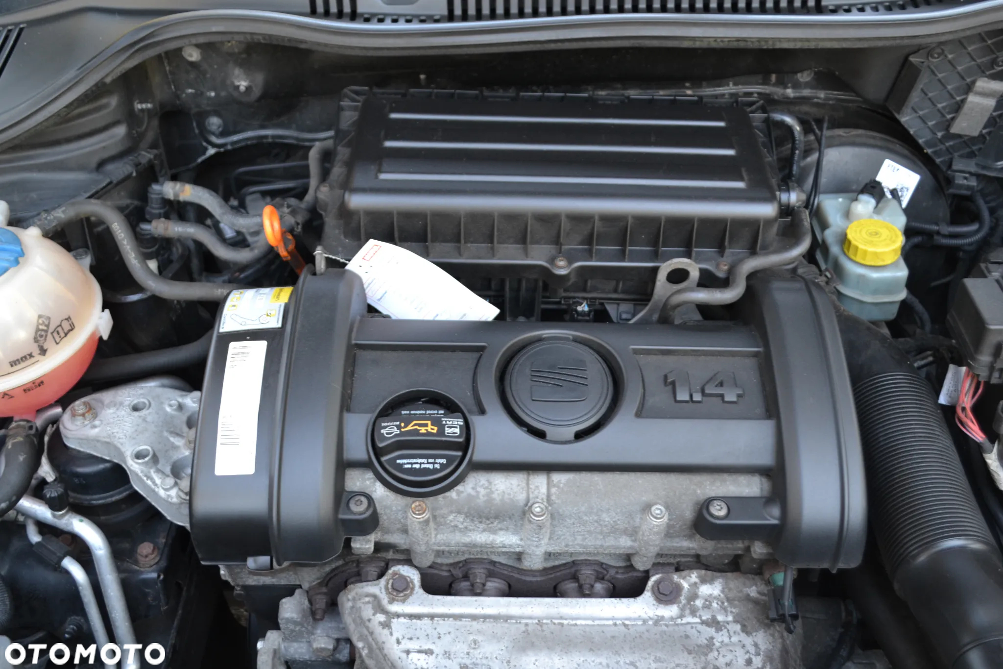 Seat Ibiza - 16