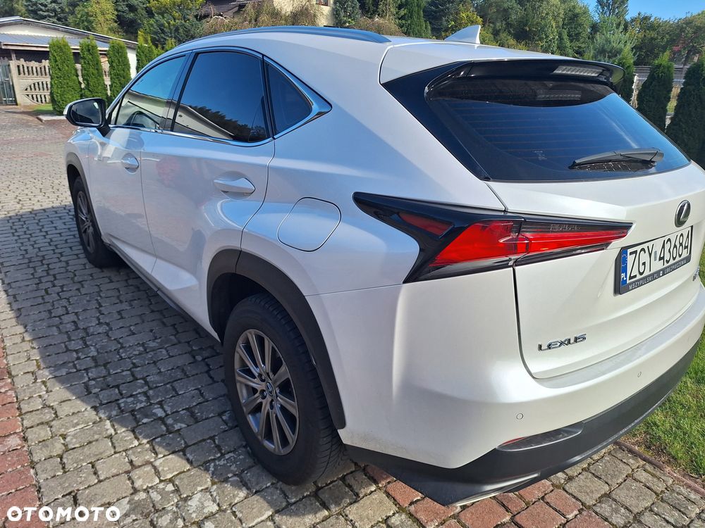 Lexus NX 300 Elegance 2WD - 7
