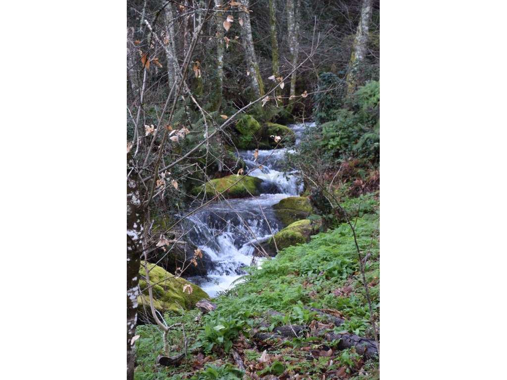 Quinta no Parque Natural da Serra da Estrela - Grande imagem: 2/11