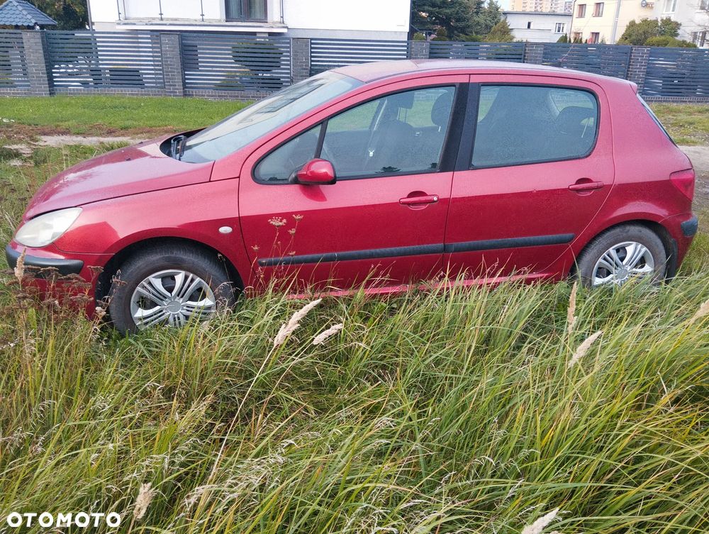 Peugeot 307 1.4 Mistral - 7