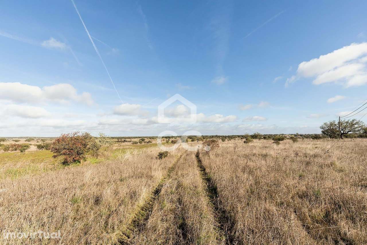 Terreno de 5,4 ha c/ Viabilidade de Construção | Capelins, Alandroal - Grande imagem: 2/50