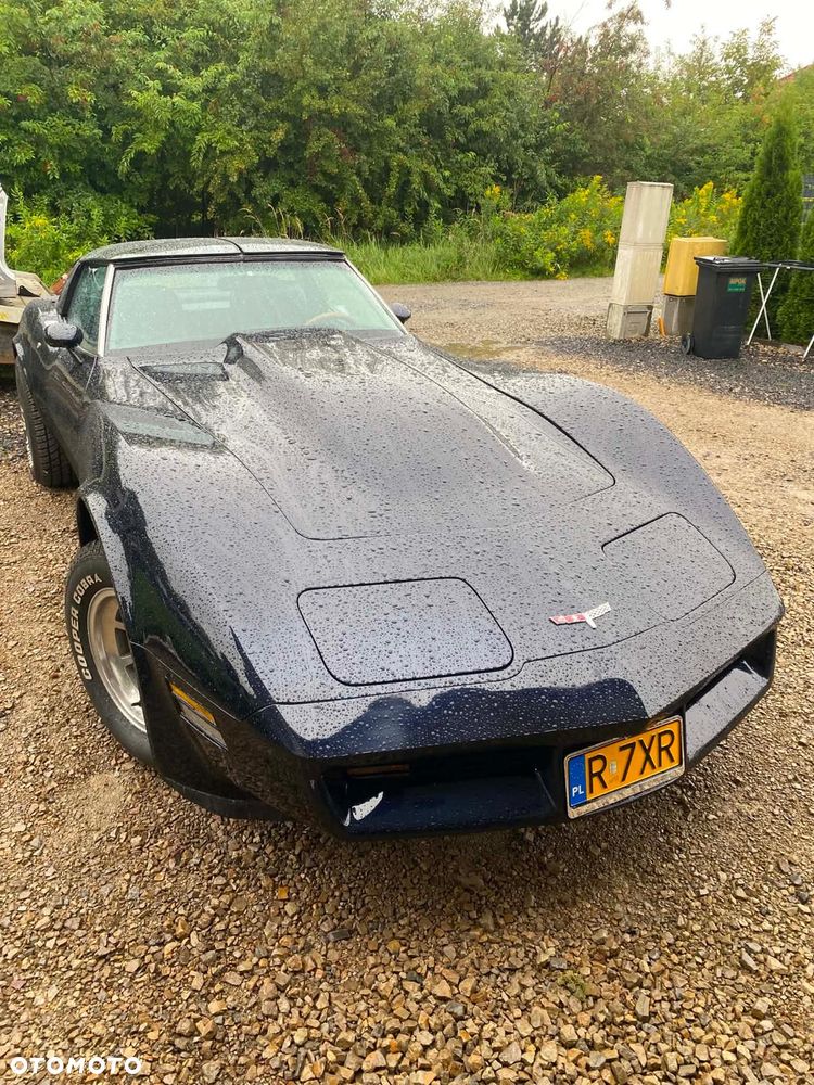 Chevrolet Corvette 1980 photo 2