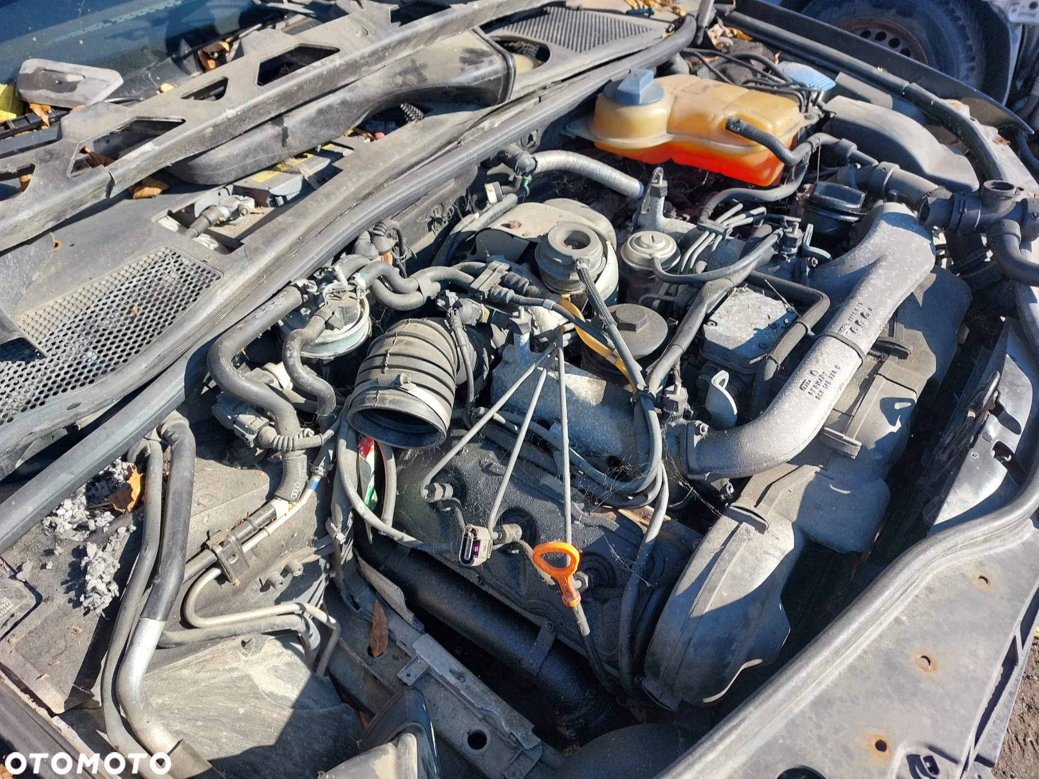 Maska VW PASSAT B5 LIFT 2,5TDI 02R. zderzaki,drzwi,klapa,lampy... - 8
