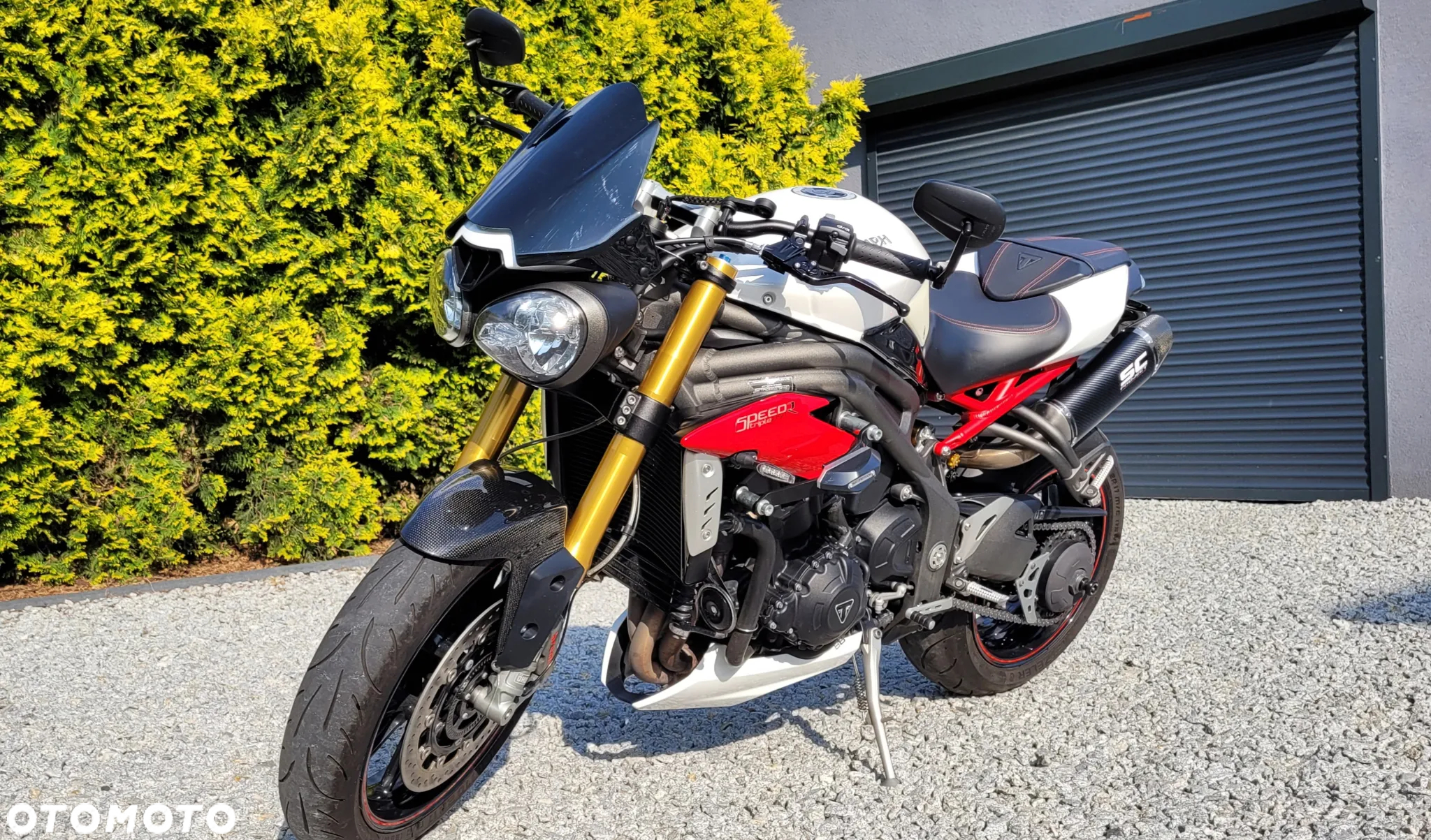 Triumph Speed Triple - 8