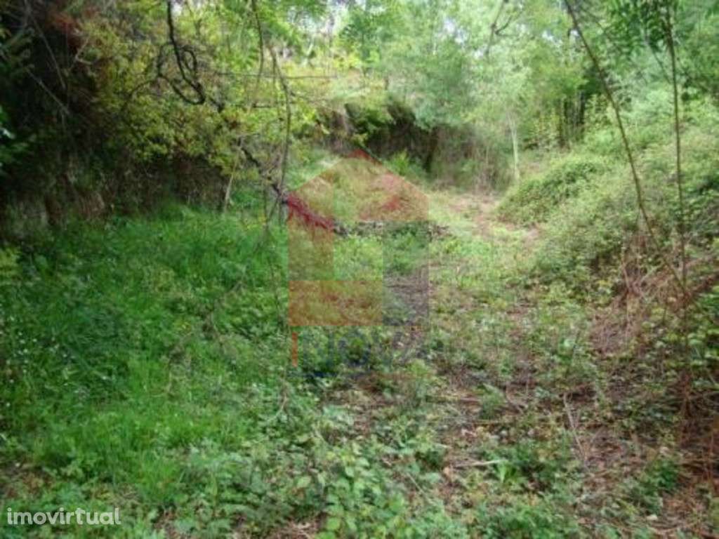 Terreno agrícola, Valdreu - Grande imagem: 2/8