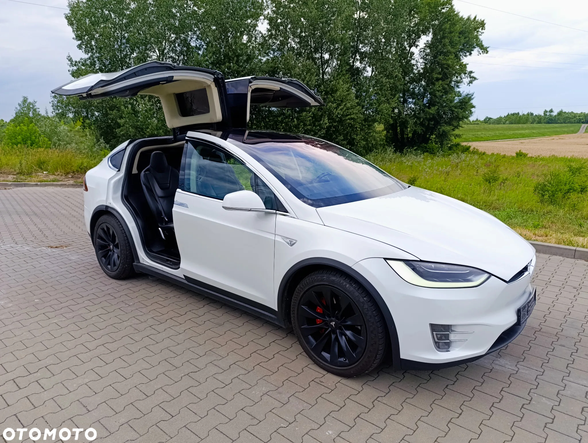 Tesla Model X Performance - 25