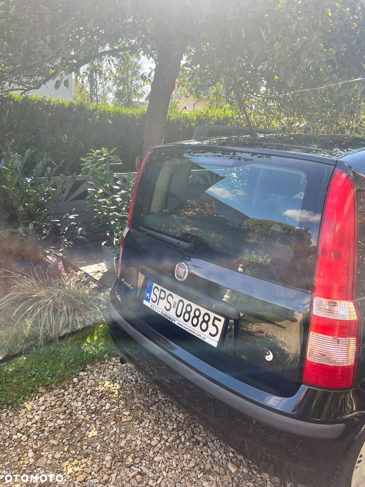 Fiat Panda 1.2 Dynamic - 5