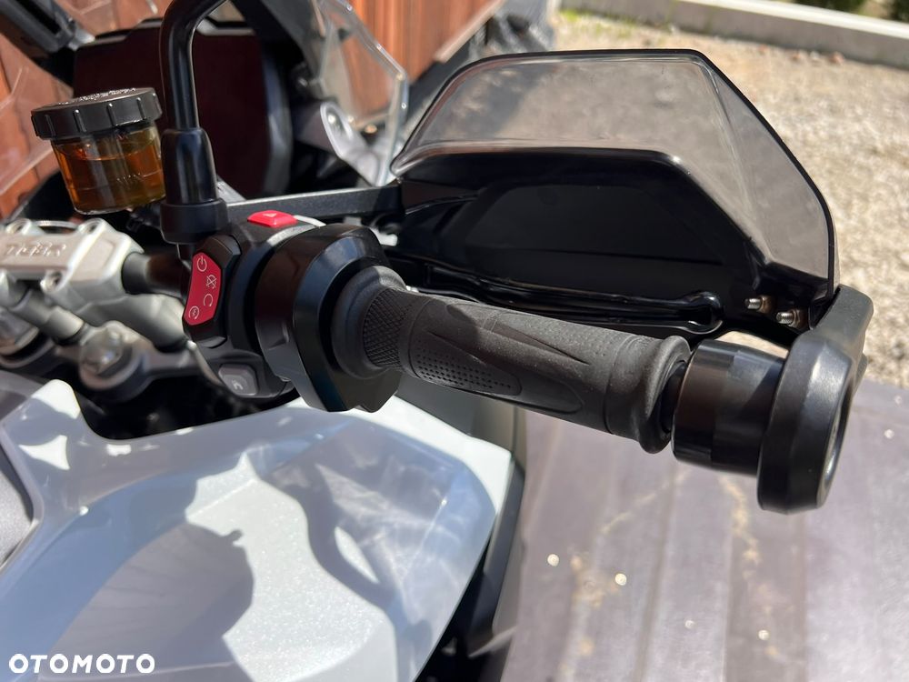 Triumph Tiger - 31