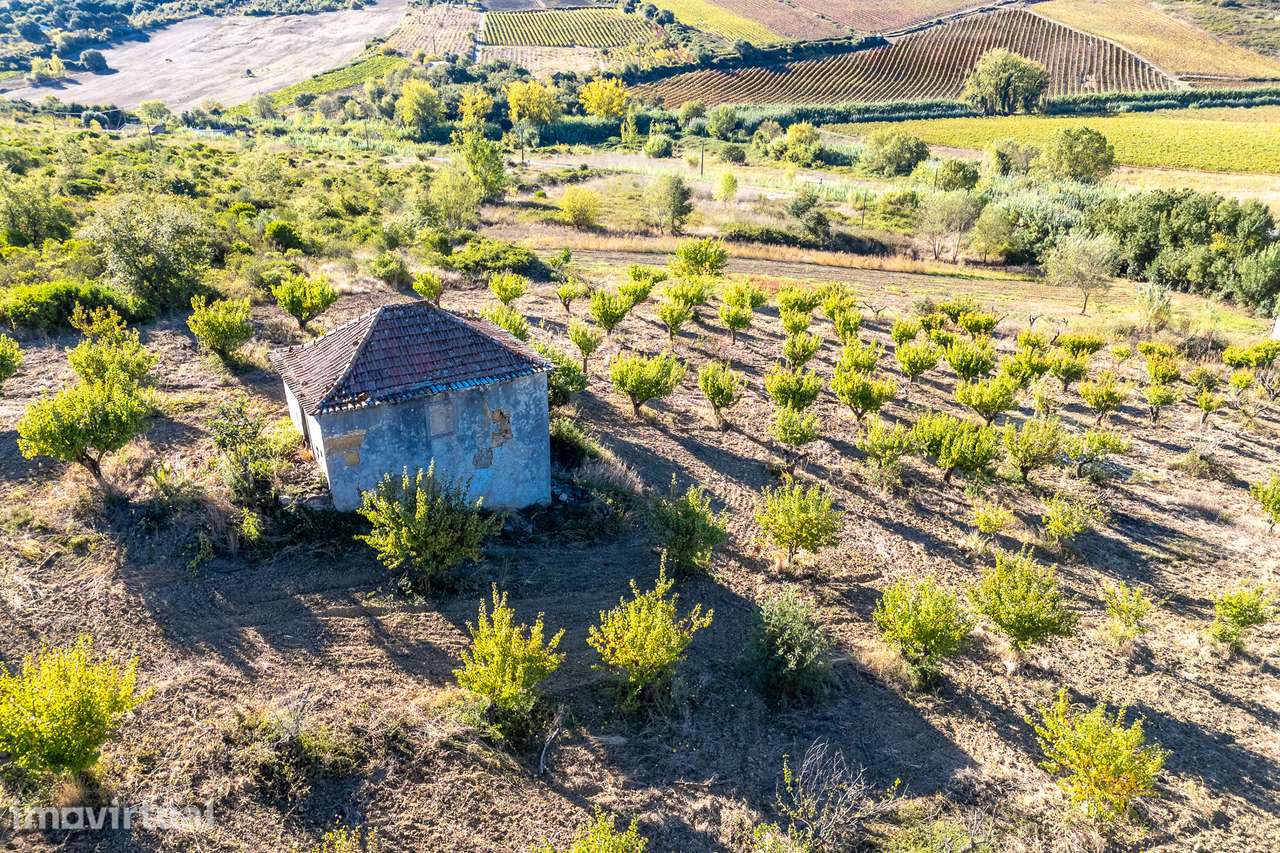 Terreno com moradia para remodelar, Alenquer - Grande imagem: 5/21