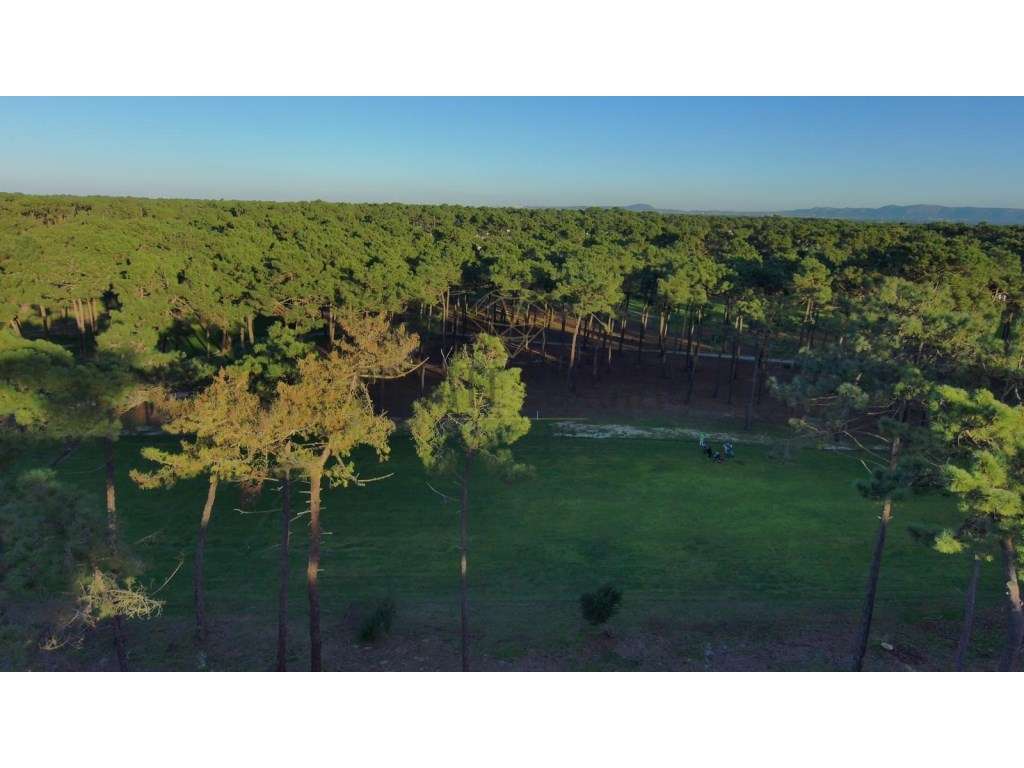 Condomínio exclusivo de 15 moradias na Herdade da Aroeira - Grande imagem: 5/19