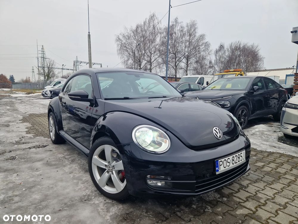 Volkswagen Beetle - 4