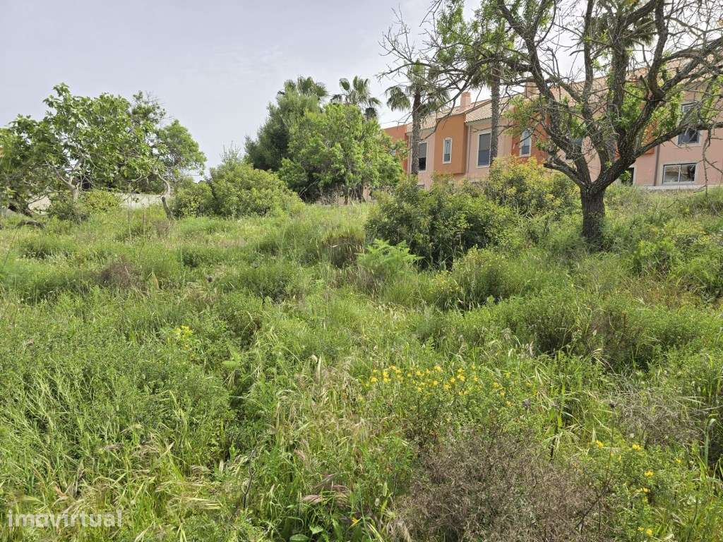 Terreno para construção, Vale Santa Maria, Albufeira, Algarve. - Grande imagem: 5/20