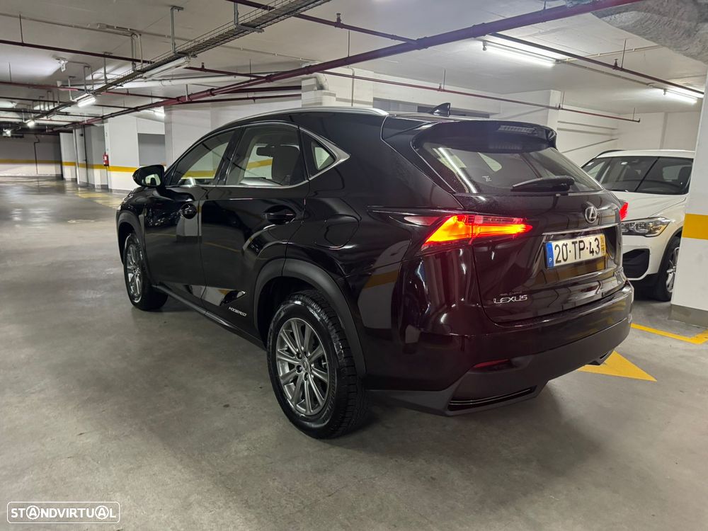 Lexus NX 300h - 5