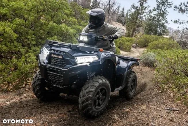 Kawasaki Brute Force - 10