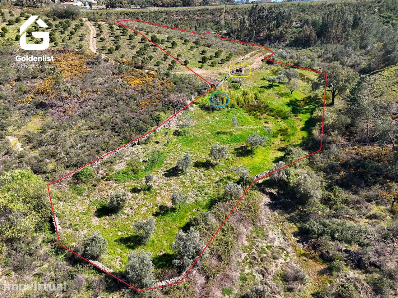 Terreno  Venda em Cebolais de Cima e Retaxo,Castelo Branco - Grande imagem: 4/22