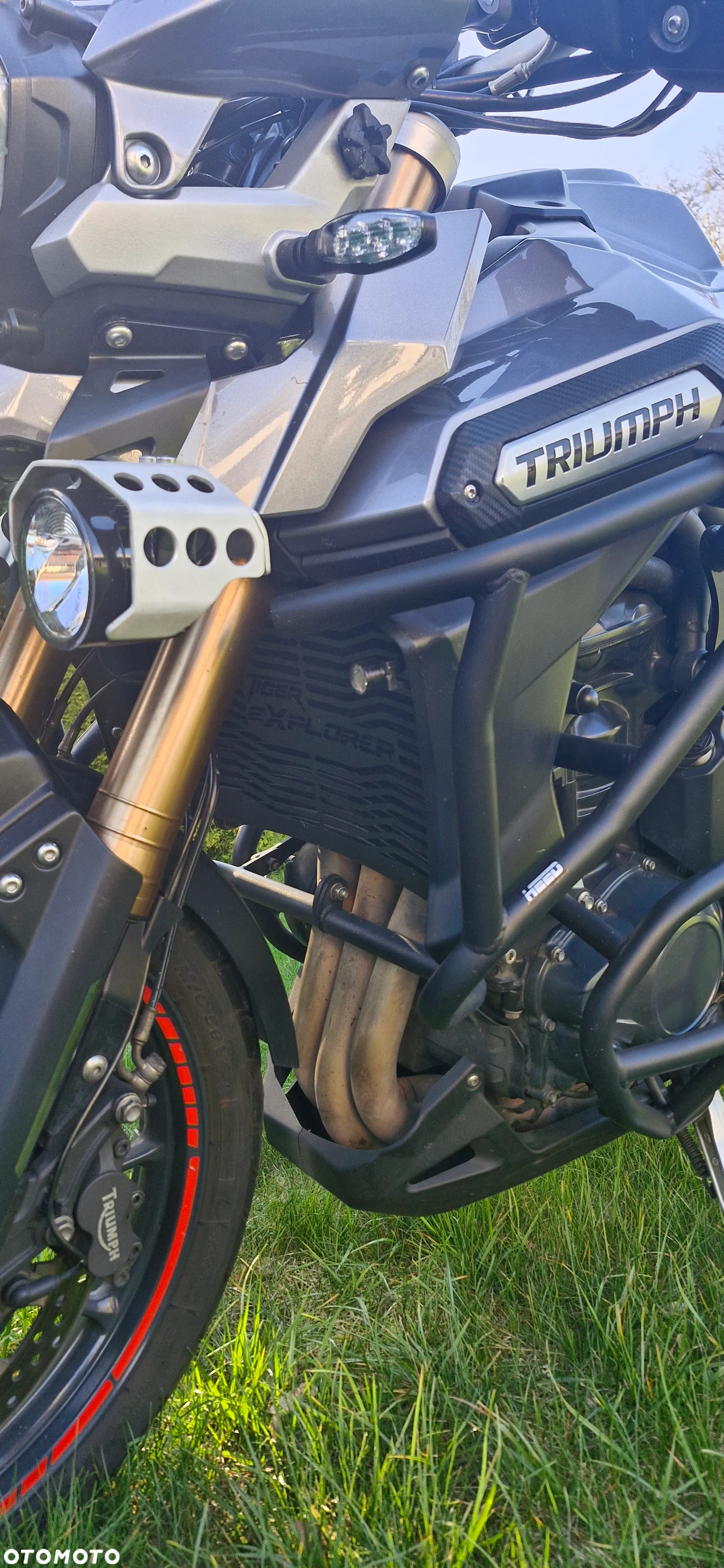 Triumph Tiger - 4