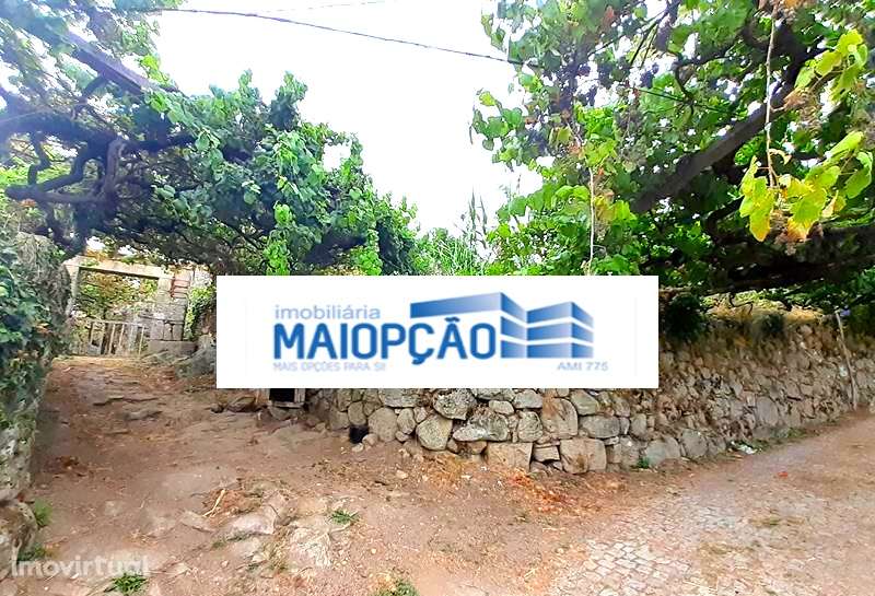 Moradia Isolada T2 - Grande imagem: 3/8