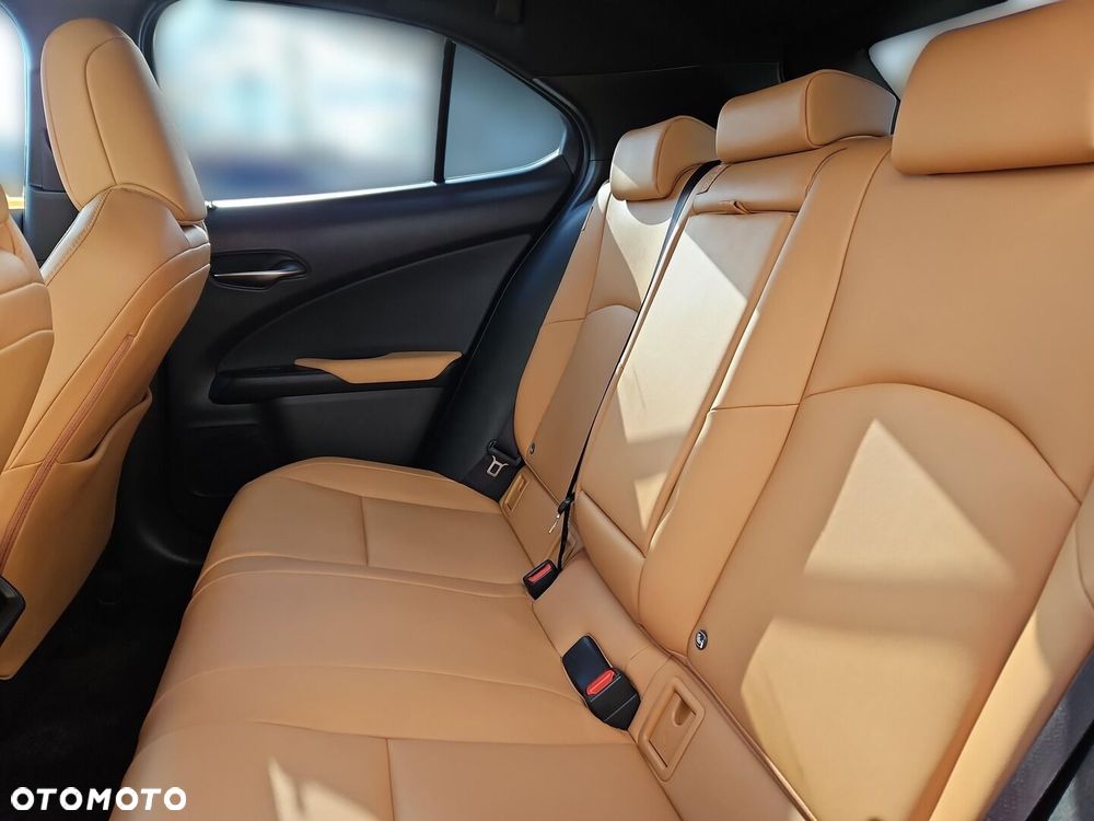 Lexus UX 250h GPF F Sport Design 2WD - 23